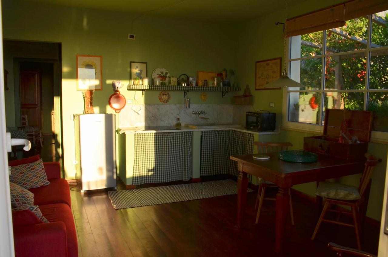 Casa Magnolia Lägenhet Terricciola Exteriör bild