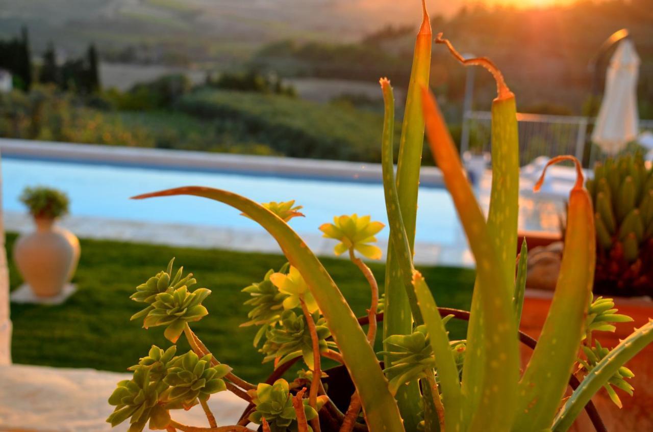 Casa Magnolia Lägenhet Terricciola Exteriör bild