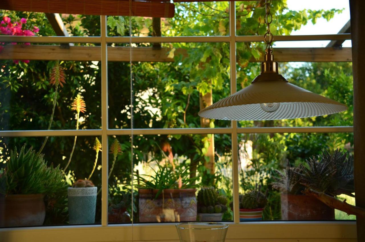 Casa Magnolia Lägenhet Terricciola Exteriör bild